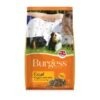 Burgess Excel Guinea Pig Nuggets