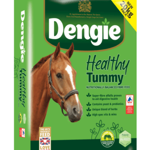 Dengie Healthy Tummy