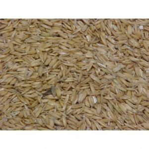 Whole Oats