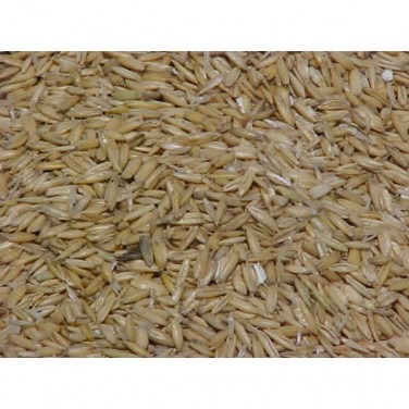 Whole Oats