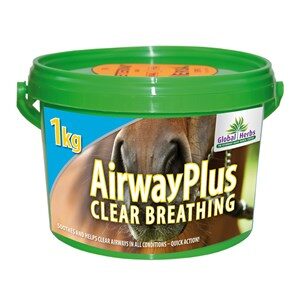 Global Herbs Airway Plus Powder