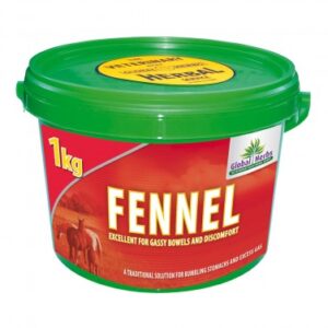 Global Herbs Fennel 1 kg