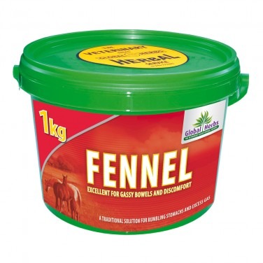 Global Herbs Fennel 1 kg