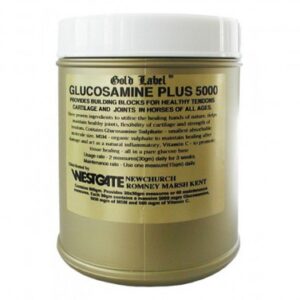 Gold Label Glucosamine Plus 5000 - 900 g
