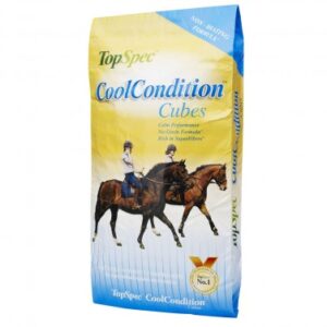 TopSpec Cool Condition Cubes 20kg