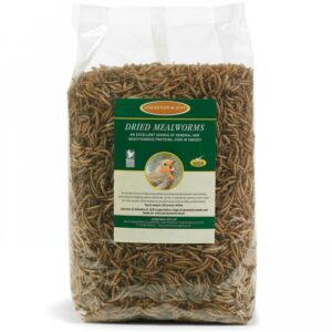JJ Mealworms