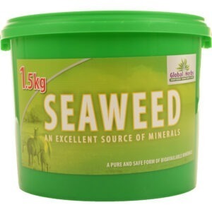 Global H Seaweed