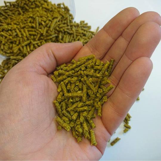 The Golden Paste Co TurmerAid