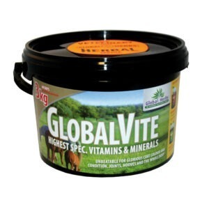 Global H Global Vite
