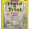Skinners Field & Trial Puppy