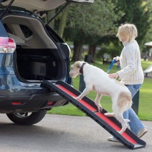 Henry Wag Pet Folding Ramp Lightweight
