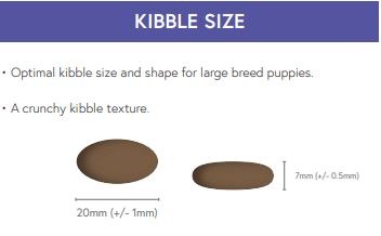 Super Premium Large Breed Puppy Salmon With Potato