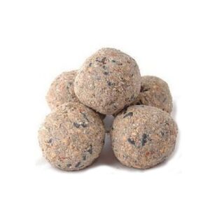 Johnston & Jeff Fatballs