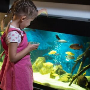 Fish & Reptile Food