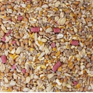Seed Blends