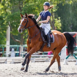 Condition & Performance Horse Feed