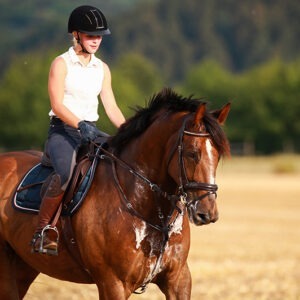 Leisure Horse Feed