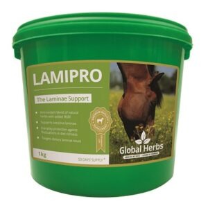Global H LamiPro
