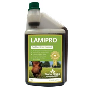 Global H LamiPro Liquid
