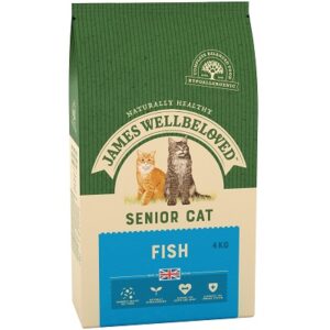 JW Cat Senior Fish