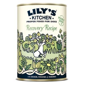 Lily's Kitchen Recovery Recipe 6x400g