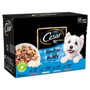 (Discontinued) Cesar Pch Delic Senior 10+ SIJ 4x12x100g