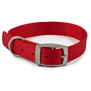 Ancol Viva Buckle Collar Red 28-36cm