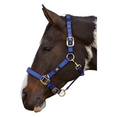 Hy Deluxe Padded Head Collar Navy