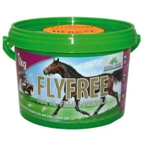 Global H Flyfree