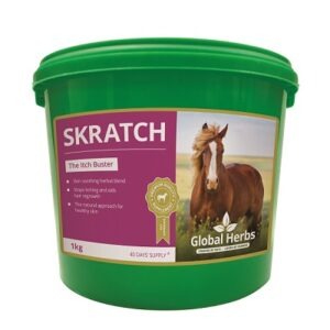 Global H Skratch