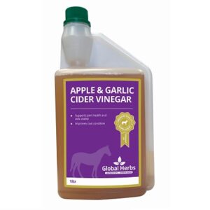 Global H Apple & Garlic Cider Vinegar(H)