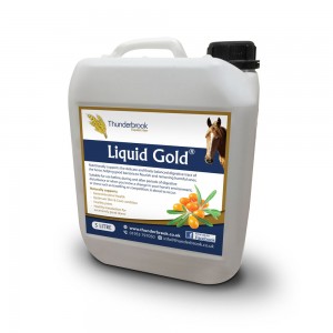 Thunderbrook Liquid Gold