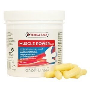 VL Muscle Power 150 Capsules