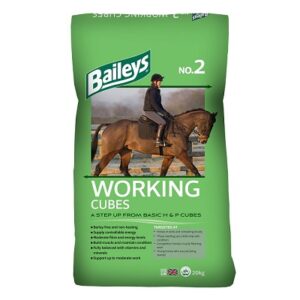 Baileys No. 02 Working Cubes