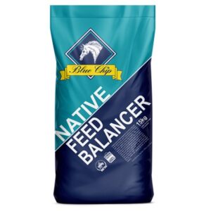 Blue Chip Original Native
