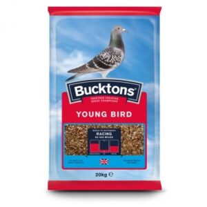 Bucktons Young Bird