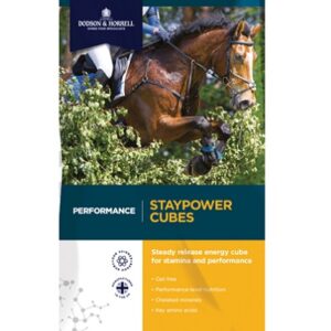 D & H Performance Staypower Cubes