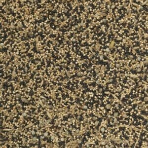JJ Seed For Soaking