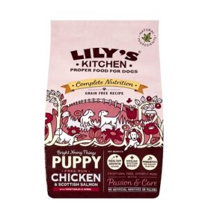 Lily's Kitchen Puppy Chicken & Salmon