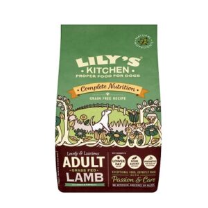 Lily's Kitchen Adult Lamb