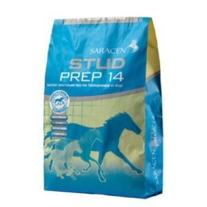 Saracen Stud Prep 14