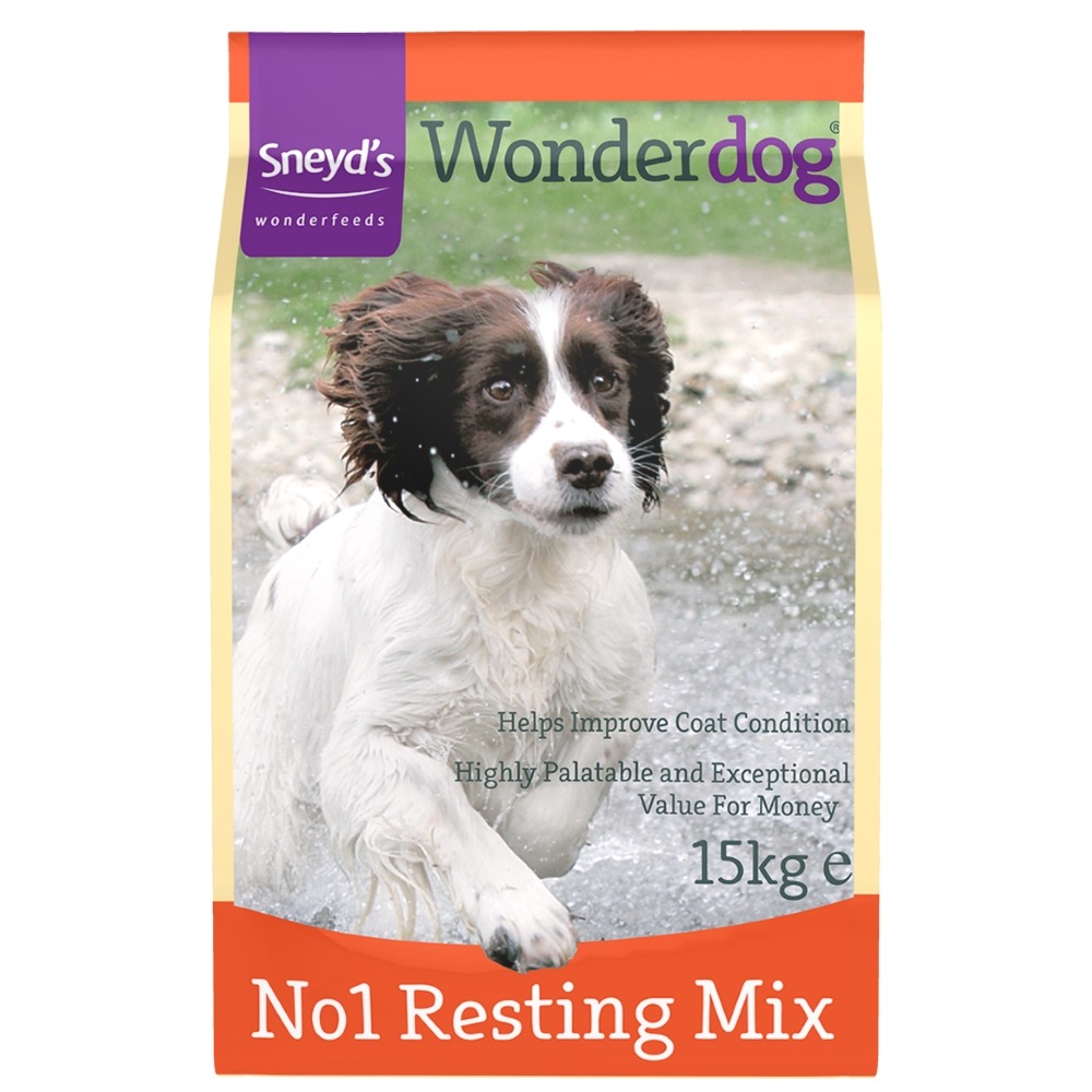 Sneyds Wonderdog Resting