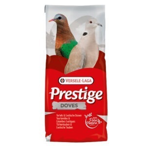 VL Turtle Doves Prestige