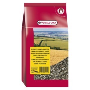 (Discontinued) VL Sunflowerseed Striped Toma Large