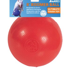 (Discontinued) Boomer Ball
