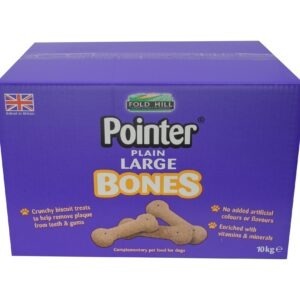 Pointer Plain Large Bones