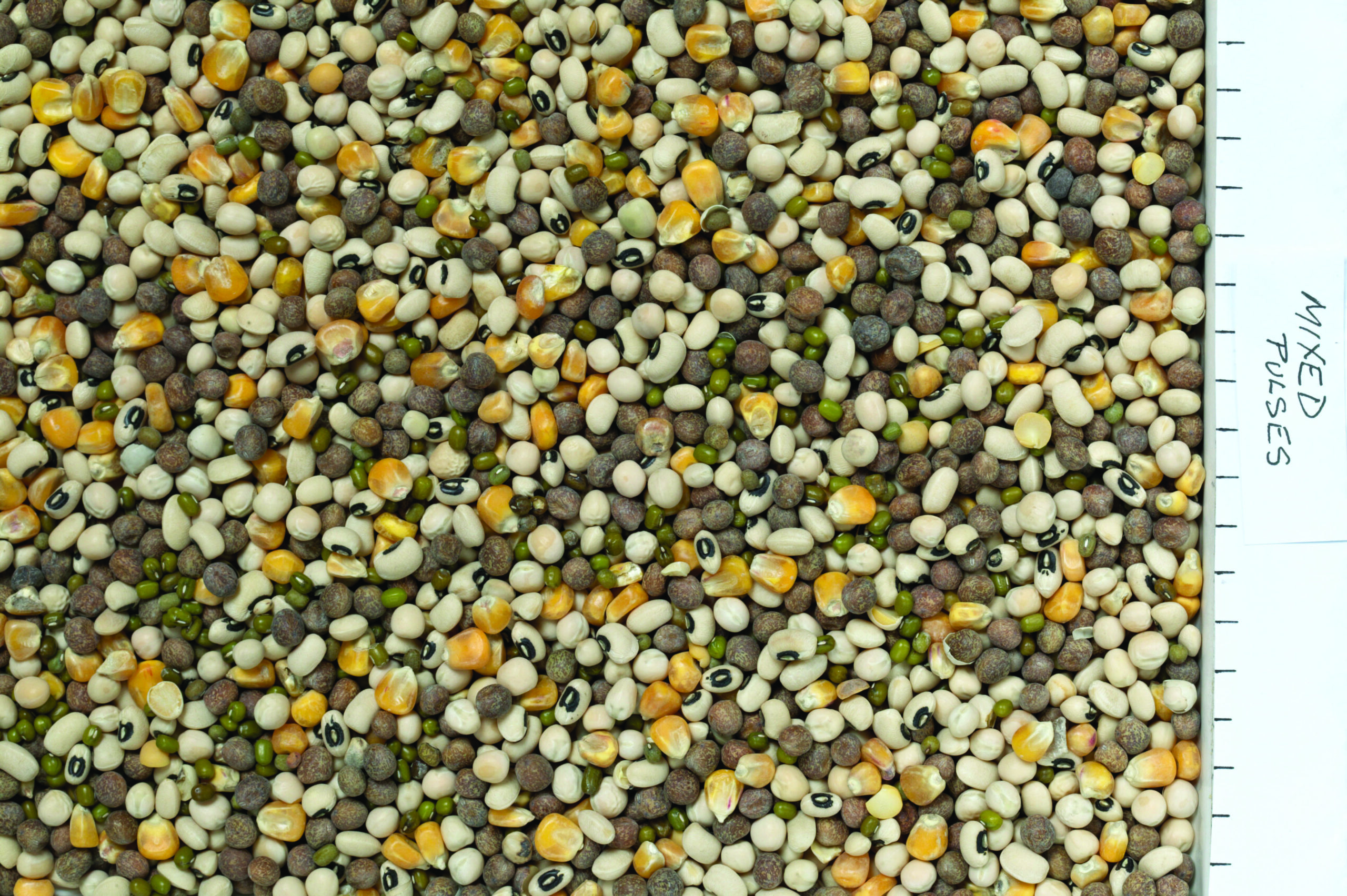 JJ Mixed Pulses