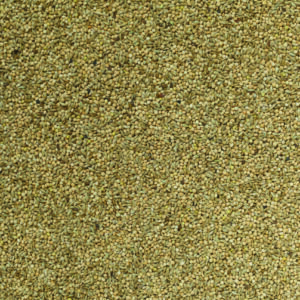 JJ Super 50 Budgieseed