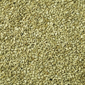 JJ White Sunflowerseed