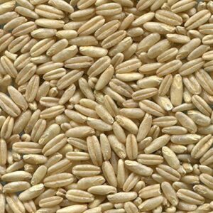 JJ Naked Oats